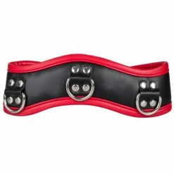 Deals ❤️ Bondara Black And Red Faux Leather Posture Collar 😍 -Fetish Wear Sales unnamed file 179