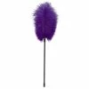 Budget 👏 Bondara Purple Ostrich Feather Tickler - 17 Inch ❤️