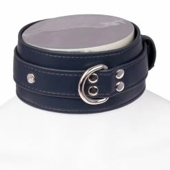 Best deal 🤩 Bondara Luxe Royal Secret Faux Leather Collar 🔔