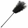 Best Pirce 😉 Bondara Black Ostrich Feather Tickler - 17 Inch 😉