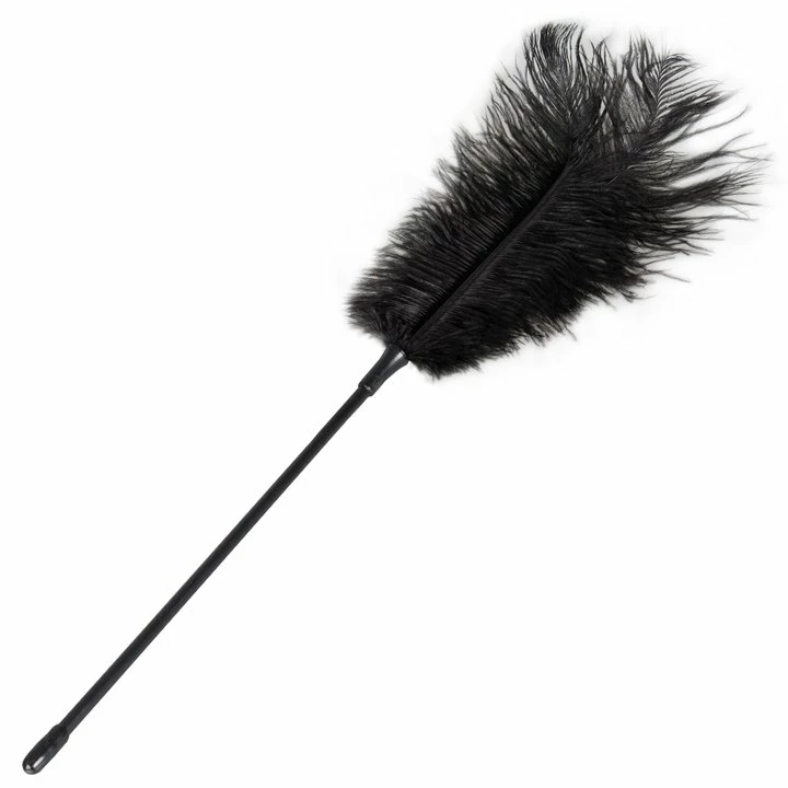 Best Pirce π Bondara Black Ostrich Feather Tickler - 17 Inch π 1 Best Pirce π Bondara Black Ostrich Feather Tickler - 17 Inch π