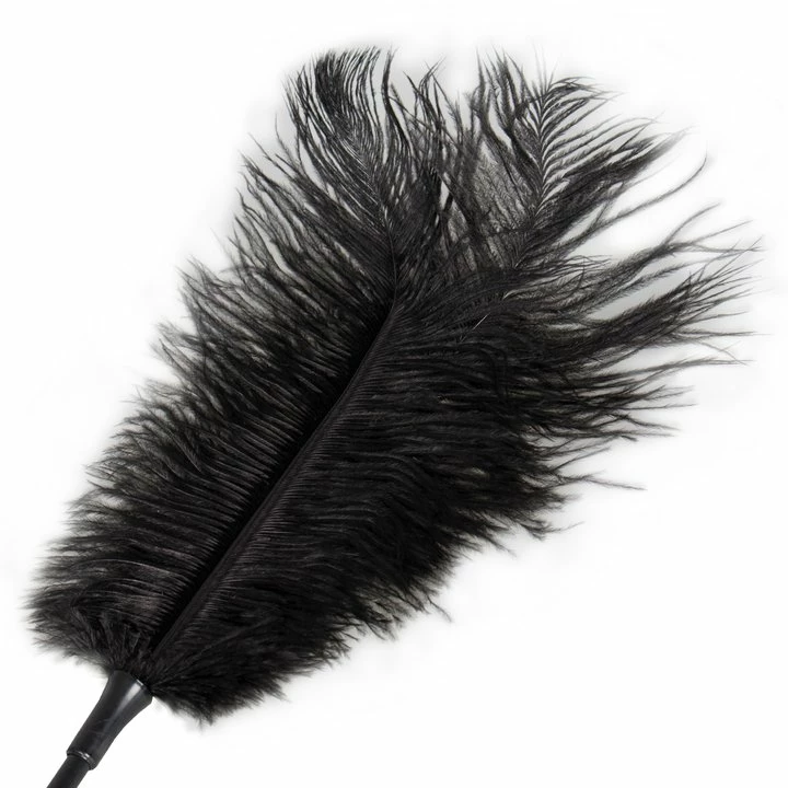 Best Pirce π Bondara Black Ostrich Feather Tickler - 17 Inch π 2 Best Pirce π Bondara Black Ostrich Feather Tickler - 17 Inch π - Image 2